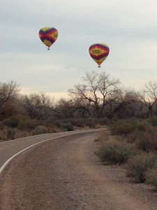 Bike/walking path along Rio Grande River in Albuquerque, NM